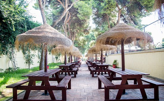 Area de picnic